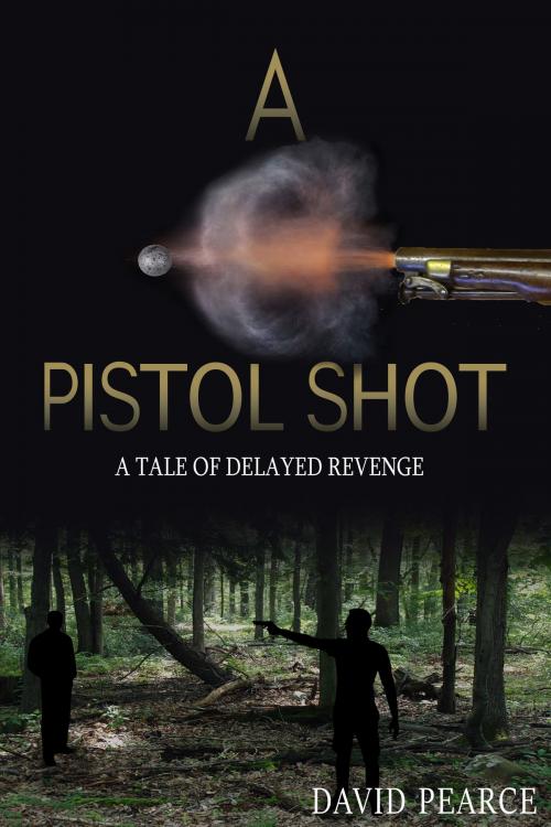 Cover of the book A Pistol Shot: A tale of delayed revenge by David Pearce, David Pearce