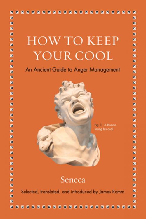 Cover of the book How to Keep Your Cool by Seneca, Princeton University Press
