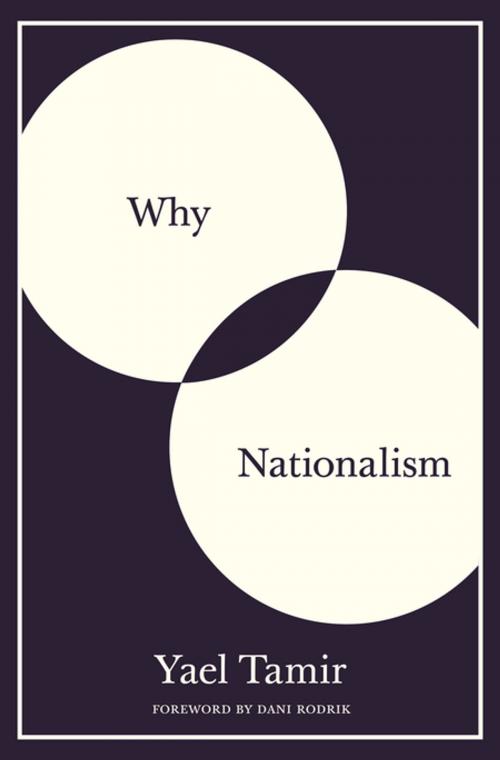 Cover of the book Why Nationalism by Yael Tamir, Princeton University Press