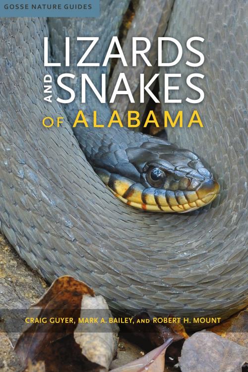 Cover of the book Lizards and Snakes of Alabama by Craig Guyer, Mark A. Bailey, Robert H. Mount, University of Alabama Press