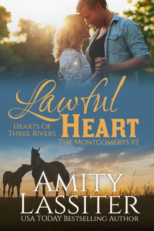 Cover of the book Lawful Heart by Amity Lassiter, Amity Lassiter