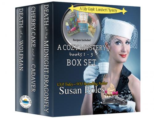 Cover of the book A Lily Gayle Lambert Mystery - Box Set Books 1 - 3 by Susan Boles, Argent Ocean Publishing