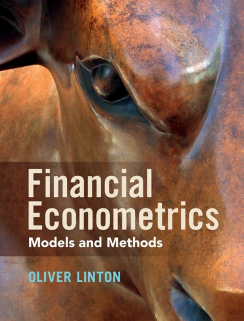 Cover of the book Financial Econometrics by Oliver Linton, Cambridge University Press