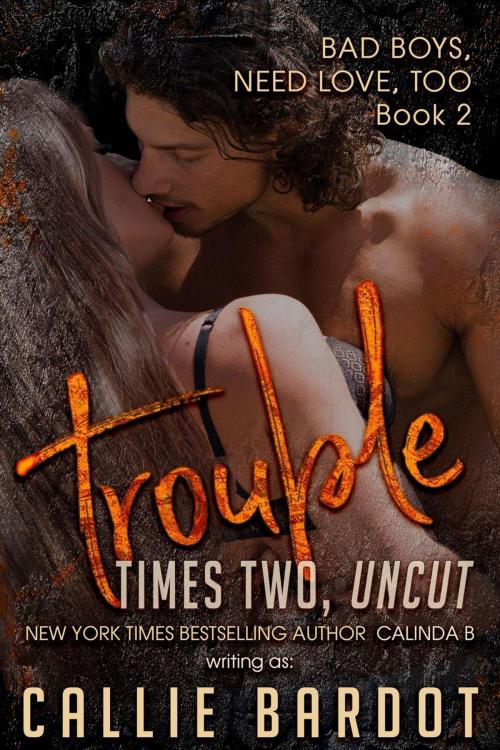 Cover of the book Trouble Times Two by Callie Bardot, Calinda B