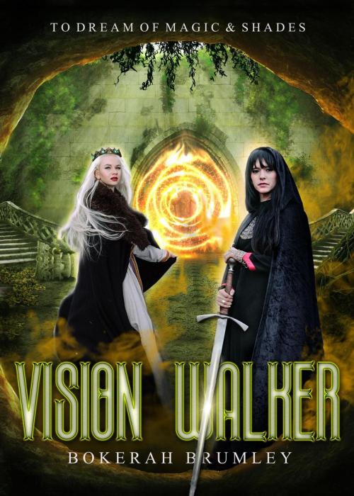 Cover of the book Vision Walker by Bokerah Brumley, Bokerah Brumley