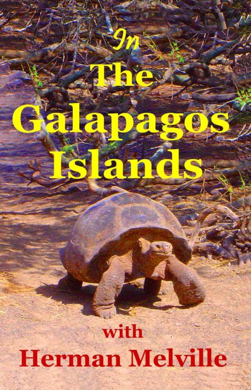 Cover of the book In the Galapagos Islands with Herman Melville by Lynn Michelsohn, Herman Melville, Cleanan Press, Inc.