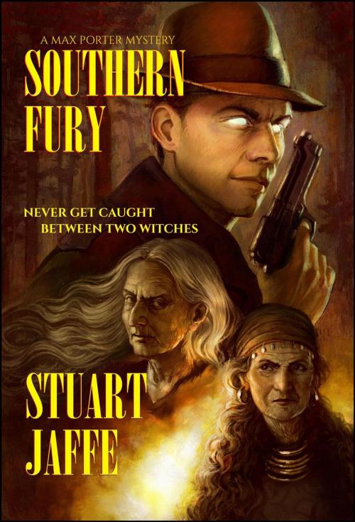 Cover of the book Southern Fury by Stuart Jaffe, Stuart Jaffe