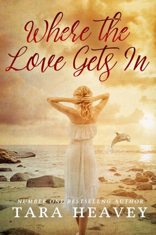 Cover of the book Where The Love Gets In by Tara Heavey, Tara Heavey