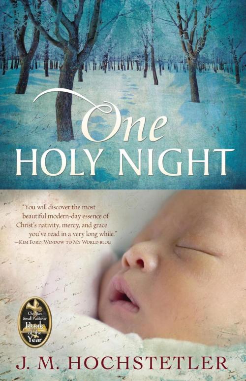 Cover of the book One Holy Night by J. M. Hochstetler, Sheaf House Publishers