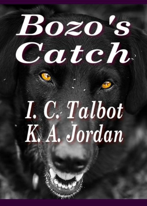 Cover of the book Bozo's Catch by K. A. Jordan, I. C. Talbot, Icy Road Publishing