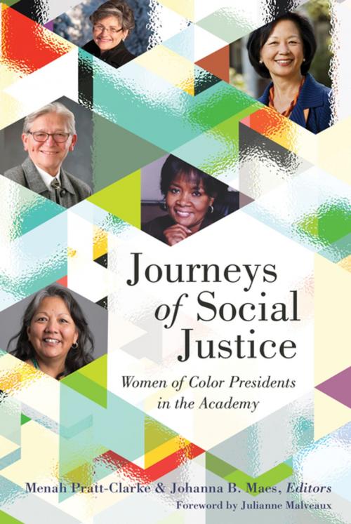 Cover of the book Journeys of Social Justice by , Peter Lang