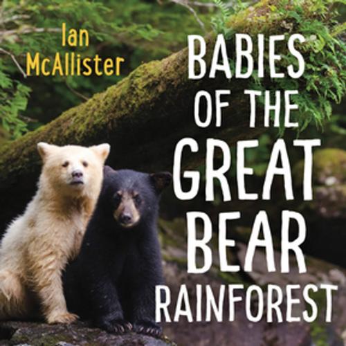 Cover of the book Babies of the Great Bear Rainforest by Ian McAllister, Orca Book Publishers