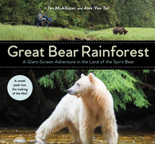 Cover of the book Great Bear Rainforest by Ian McAllister, Alex Van Tol, Orca Book Publishers
