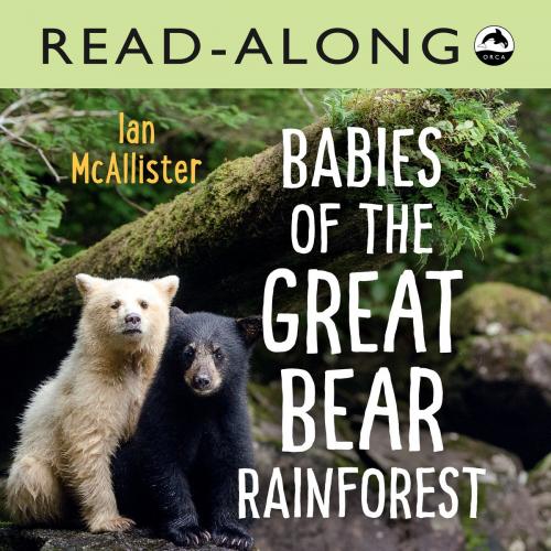 Cover of the book Babies of the Great Bear Rainforest Read-Along by Ian McAllister, Orca Book Publishers
