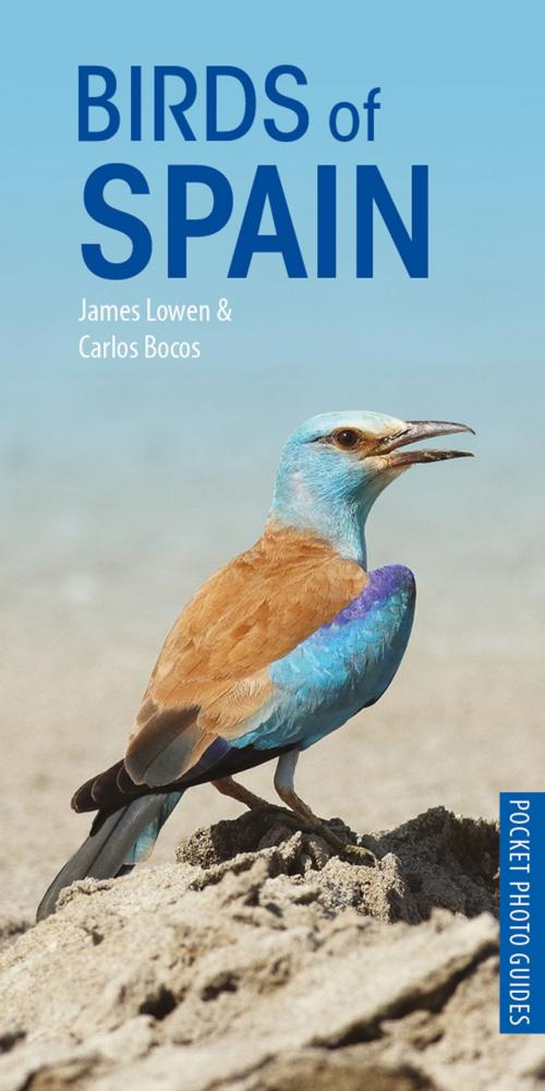 Cover of the book Birds of Spain by James Lowen, Carlos Bocos Gonzalez, Bloomsbury Publishing