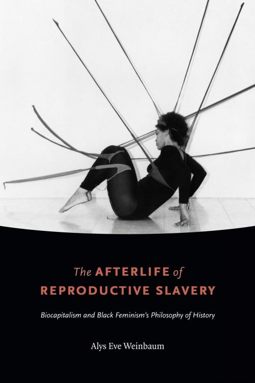 Cover of the book The Afterlife of Reproductive Slavery by Alys Eve Weinbaum, Duke University Press