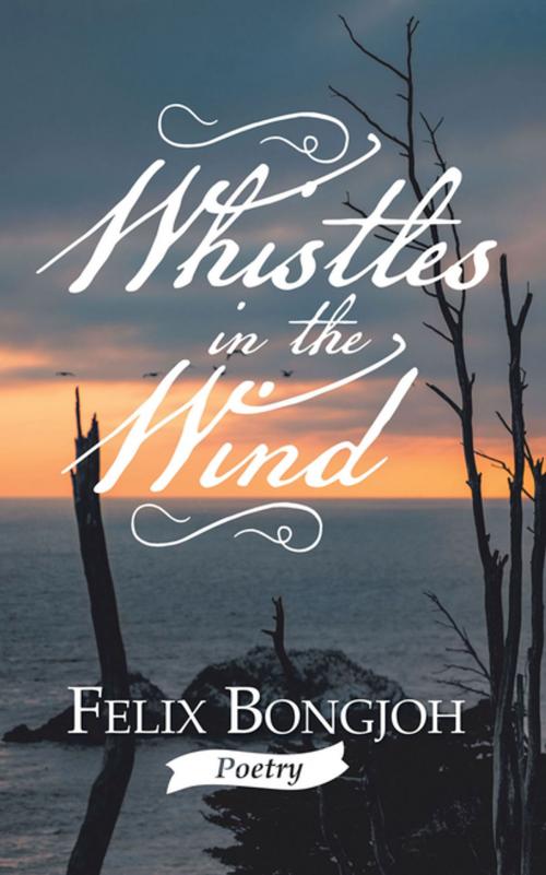 Cover of the book Whistles in the Wind by Felix Bongjoh, Trafford Publishing