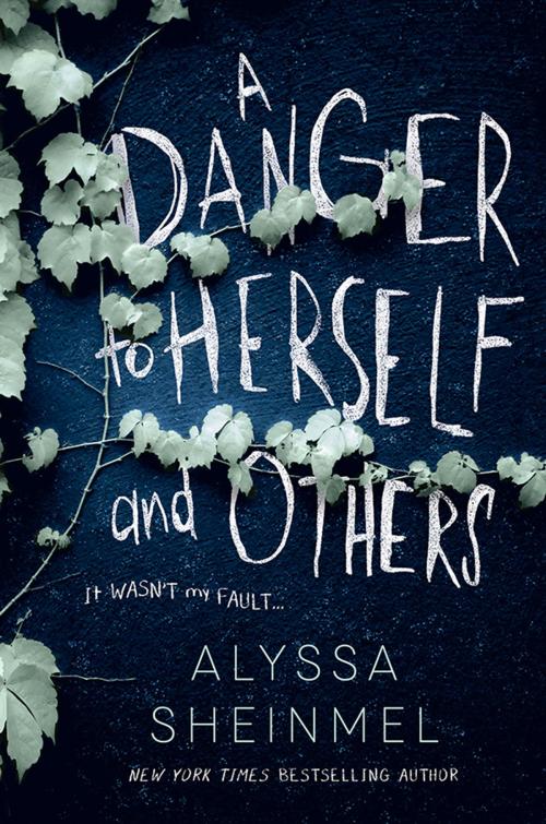 Cover of the book A Danger to Herself and Others by Alyssa Sheinmel, Sourcebooks