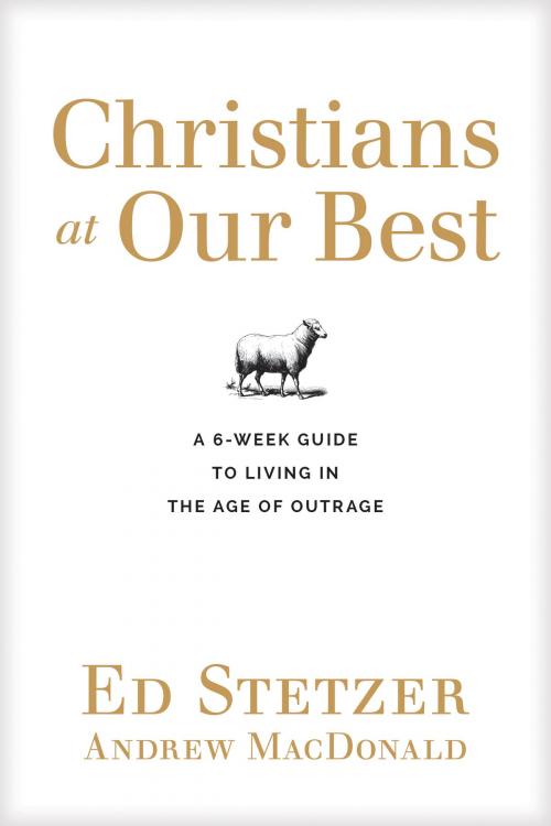 Cover of the book Christians at Our Best by Ed Stetzer, Tyndale House Publishers, Inc.