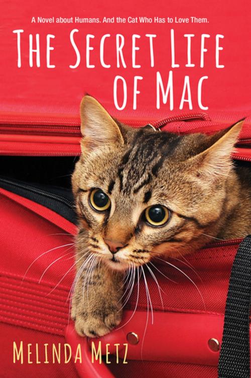 Cover of the book The Secret Life of Mac by Melinda Metz, Kensington Books
