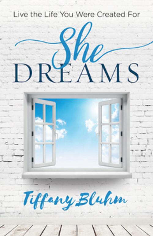 Cover of the book She Dreams by Tiffany Bluhm, Abingdon Press