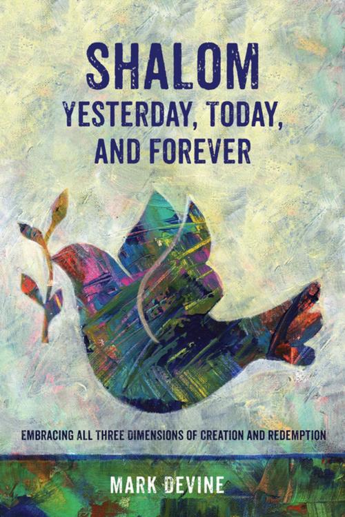 Cover of the book Shalom Yesterday, Today, and Forever by Mark DeVine, Wipf and Stock Publishers