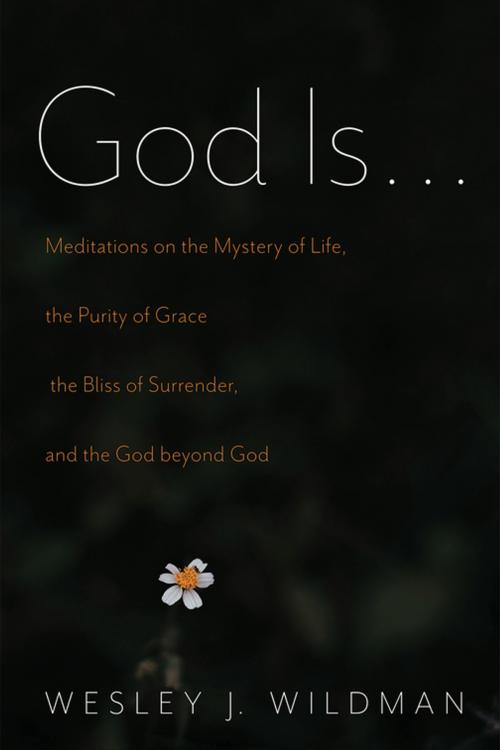 Cover of the book God Is . . . by Wesley J. Wildman, Wipf and Stock Publishers