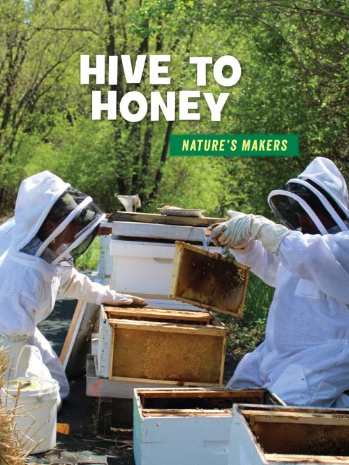 Cover of the book Hive to Honey by Julie Knutson, Cherry Lake Publishing