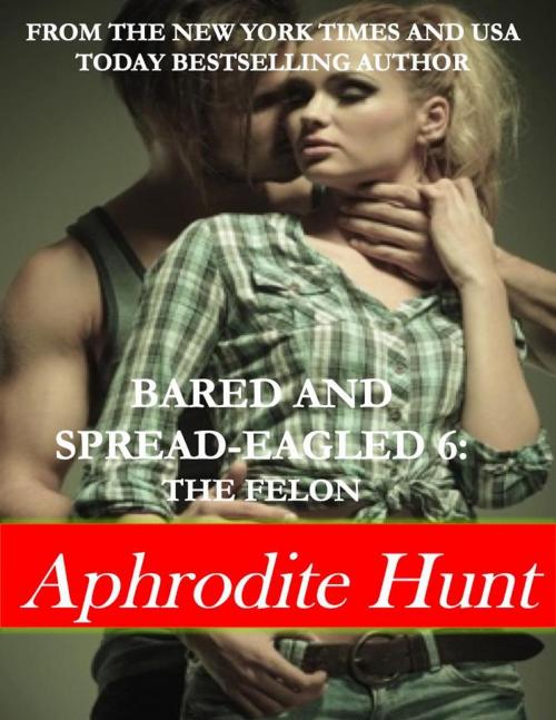 Cover of the book Bared and Spread-eagled 6: The Felon by Aphrodite Hunt, Aphrodite Hunt