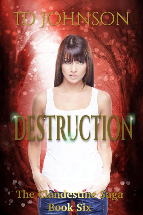 Cover of the book Destruction by ID Johnson, ID Johnson