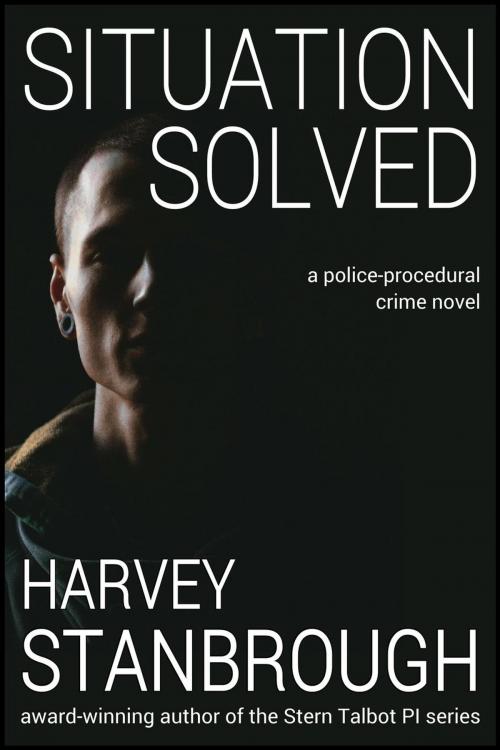 Cover of the book Situation Solved by Harvey Stanbrough, StoneThread Publishing