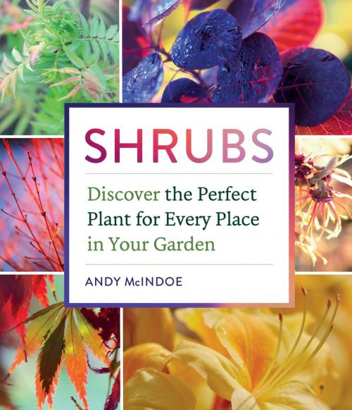 Cover of the book Shrubs by Andy McIndoe, Timber Press