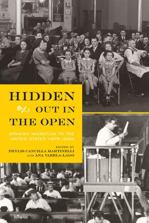 Cover of the book Hidden Out in the Open by , University Press of Colorado