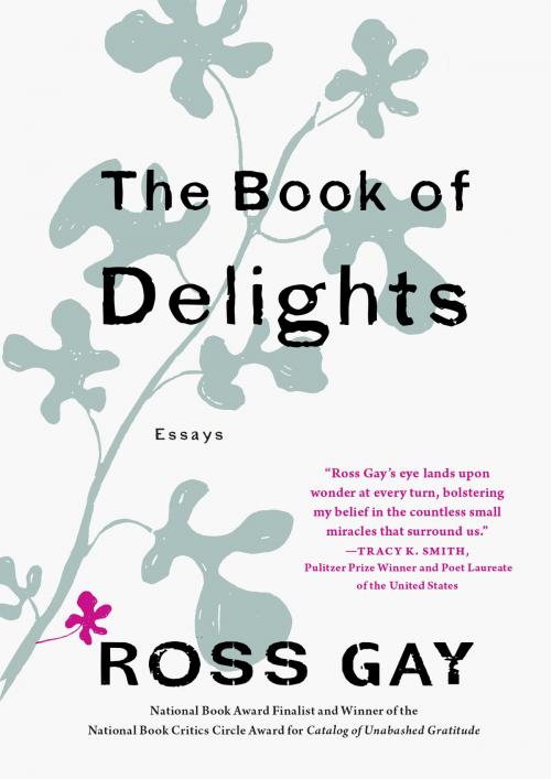 Cover of the book The Book of Delights by Ross Gay, Algonquin Books