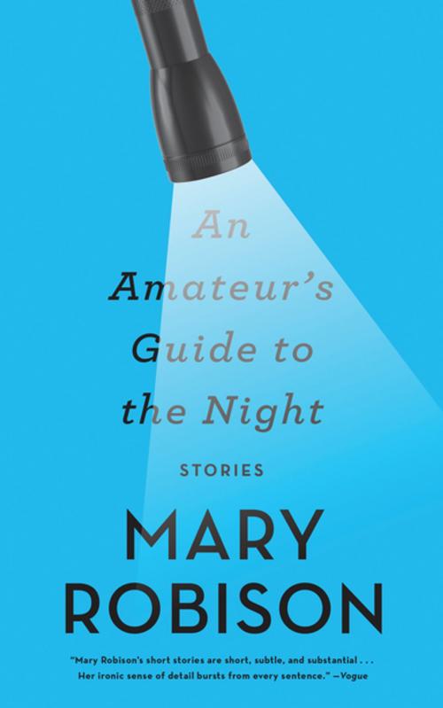 Cover of the book An Amateur's Guide to the Night by Mary Robison, Counterpoint