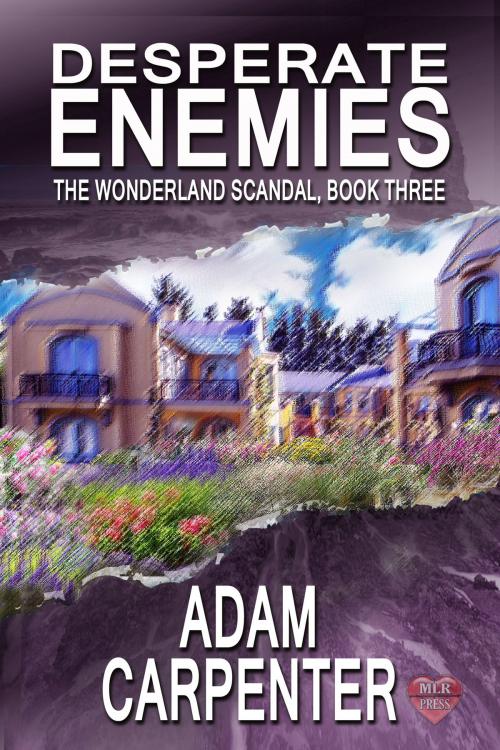 Cover of the book Desperate Enemies by Adam Carpenter, MLR Press