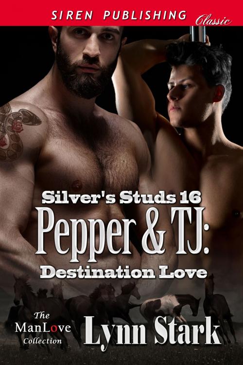 Cover of the book Pepper & TJ: Destination Love by Lynn Stark, Siren-BookStrand