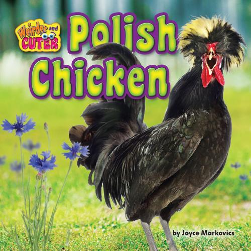 Cover of the book Polish Chicken by Joyce Markovics, Bearport Publishing