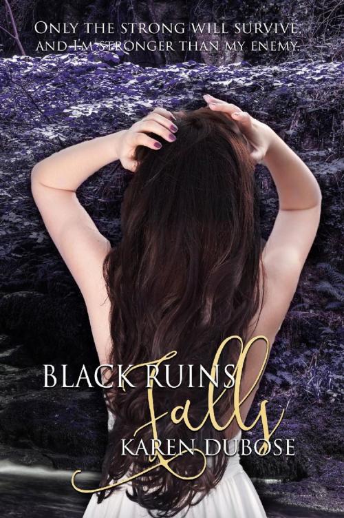 Cover of the book Black Ruins Falls by Karen DuBose, Kingston Publishing Company