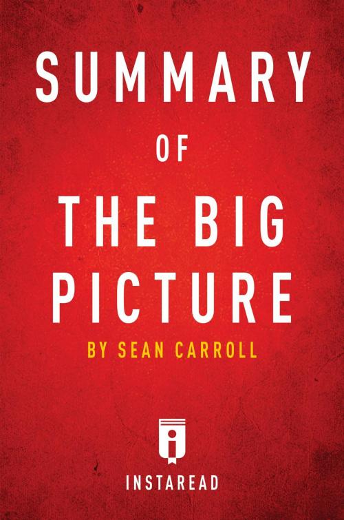 Cover of the book Summary of The Big Picture by Instaread Summaries, Instaread, Inc