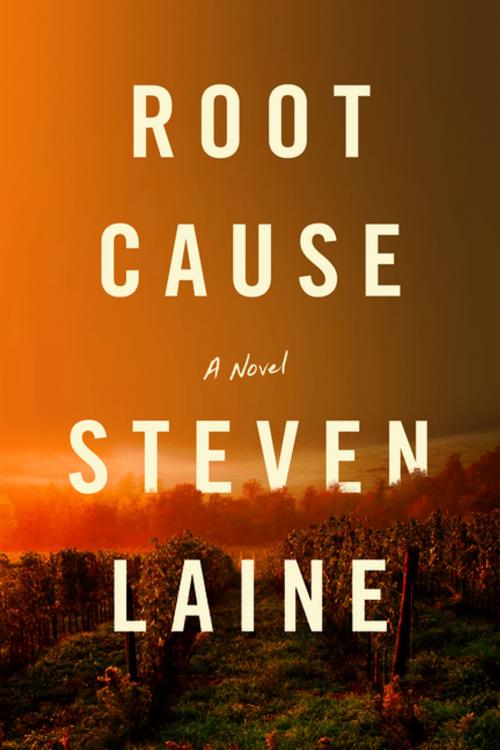 Cover of the book Root Cause by Steven Laine, Turner Publishing Company
