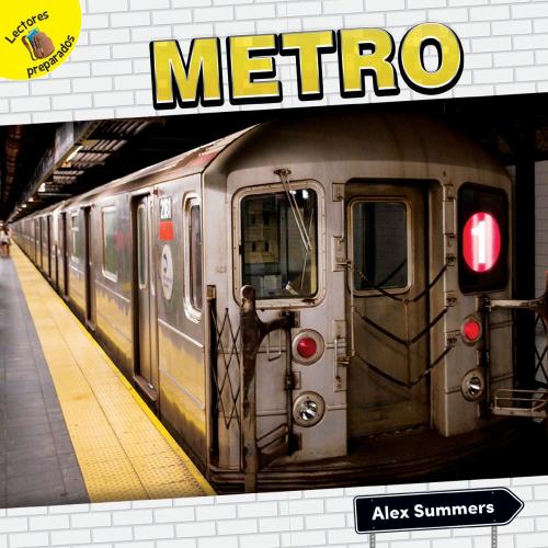 Cover of the book Metro by Alex Summers, Rourke Educational Media
