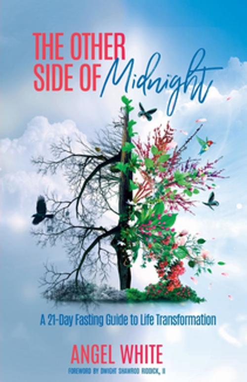 Cover of the book The Other Side of Midnight by Angel White, Final Step Publishing LLC