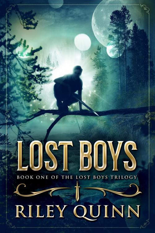 Cover of the book Lost Boys by Riley Quinn, Riley Quinn