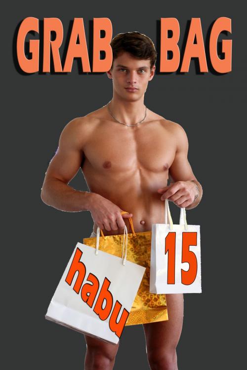 Cover of the book Grab Bag 15 by habu, BarbarianSpy