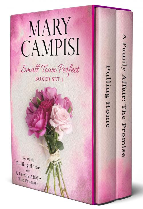 Cover of the book Small Town Perfect Boxed Set 1 by Mary Campisi, Mary Campisi Books, LLC