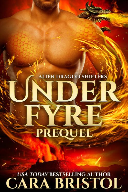 Cover of the book Under Fyre Prequel by Cara Bristol, Cara Bristol