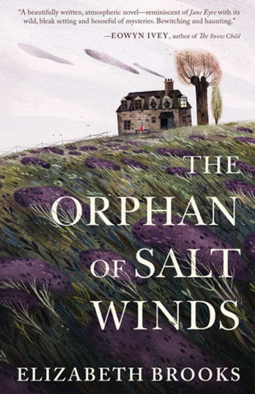 Cover of the book The Orphan of Salt Winds by Elizabeth Brooks, Tin House Books