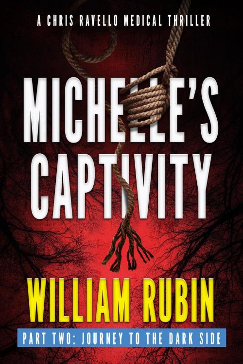 Cover of the book Michelle's Captivity Part Two: Journey To The Dark Side by William Rubin, William Rubin