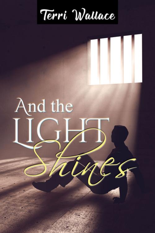 Cover of the book And the Light Shines by Terri Wallace, Toplink Publishing, LLC